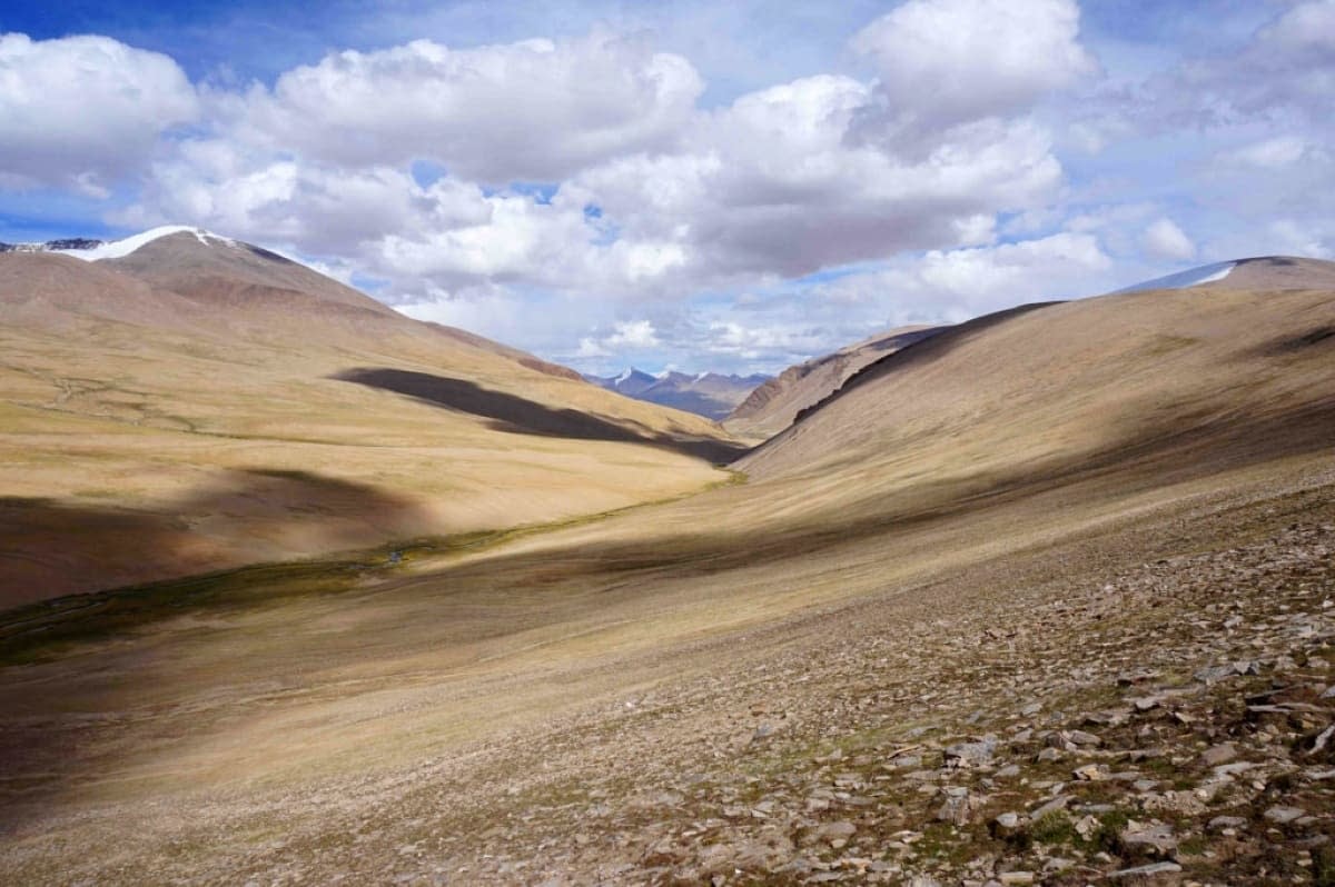 Changthang plateau of Ladakh