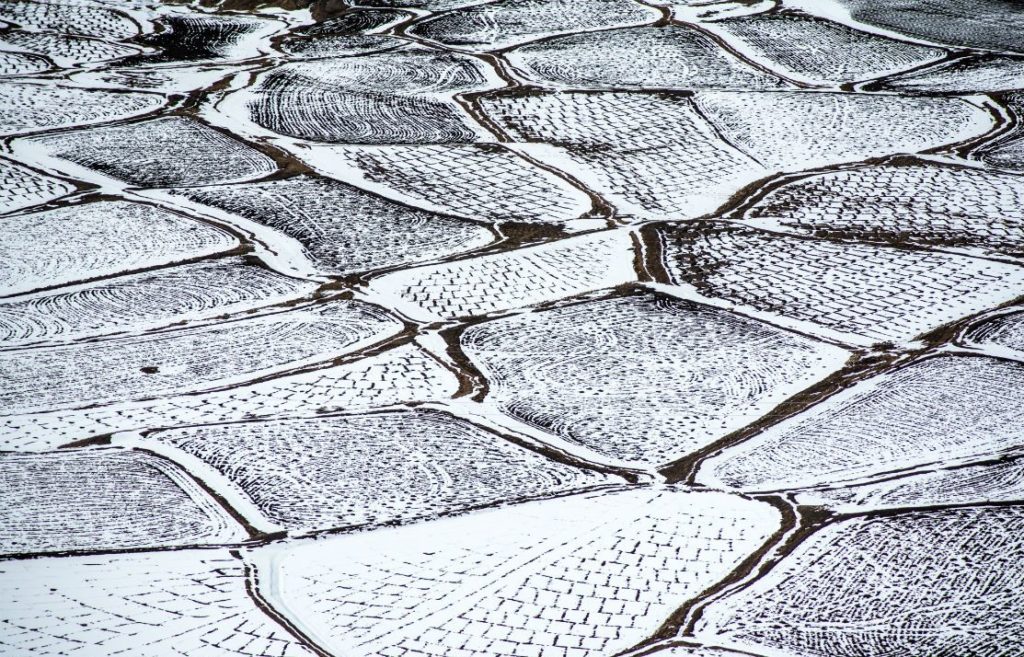 Fields of Key villagers covered in snow