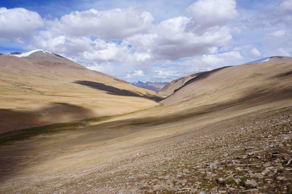 Changthang Plains of Ladakh