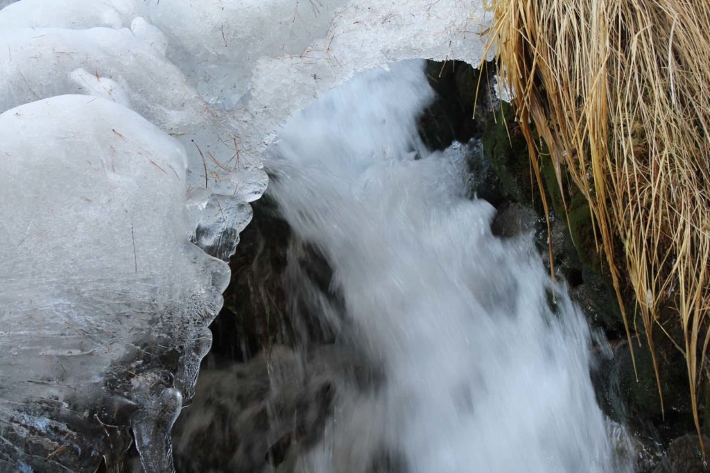Ice covered stream | Chaka meadows Kalpa | Winter in Kinnaur