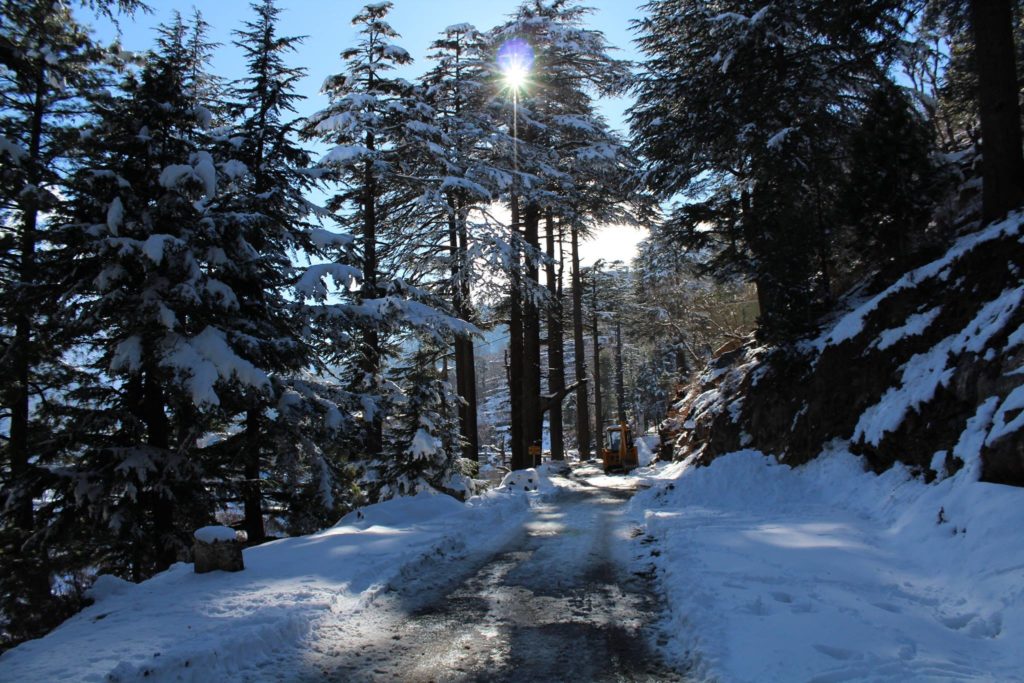 Icy road en route Kalpa village of  Kinnaur