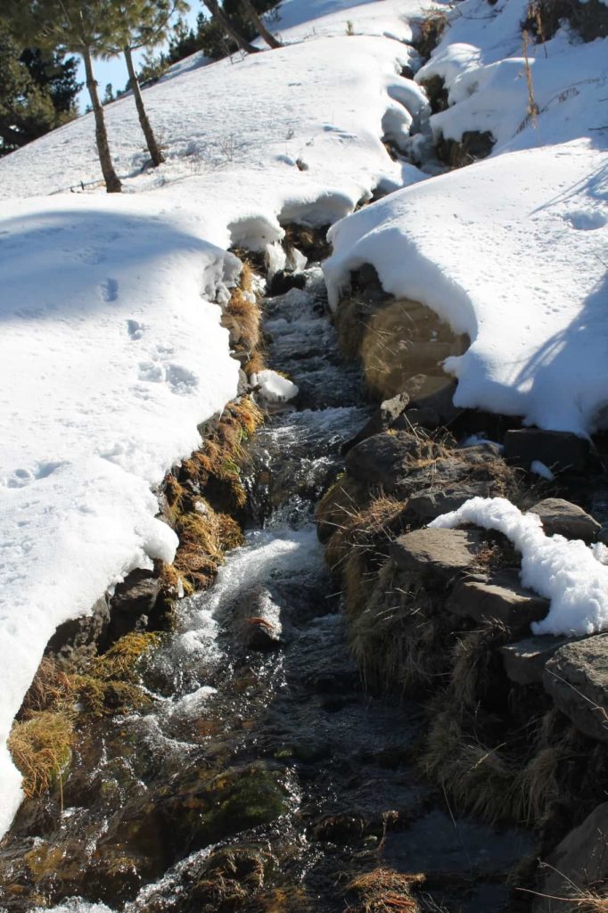 Singing stream. Chaka meadows hike Kalpa. | Winter in Kinnaur